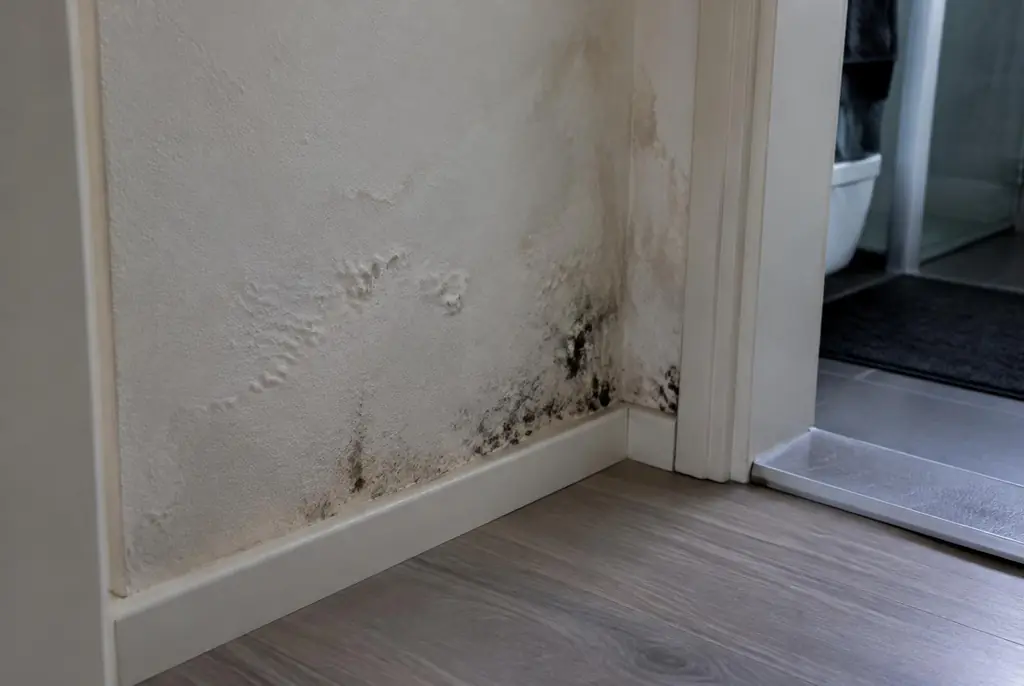 Lekdetectie Wormerveer – vochtplek met schimmel op een muur
